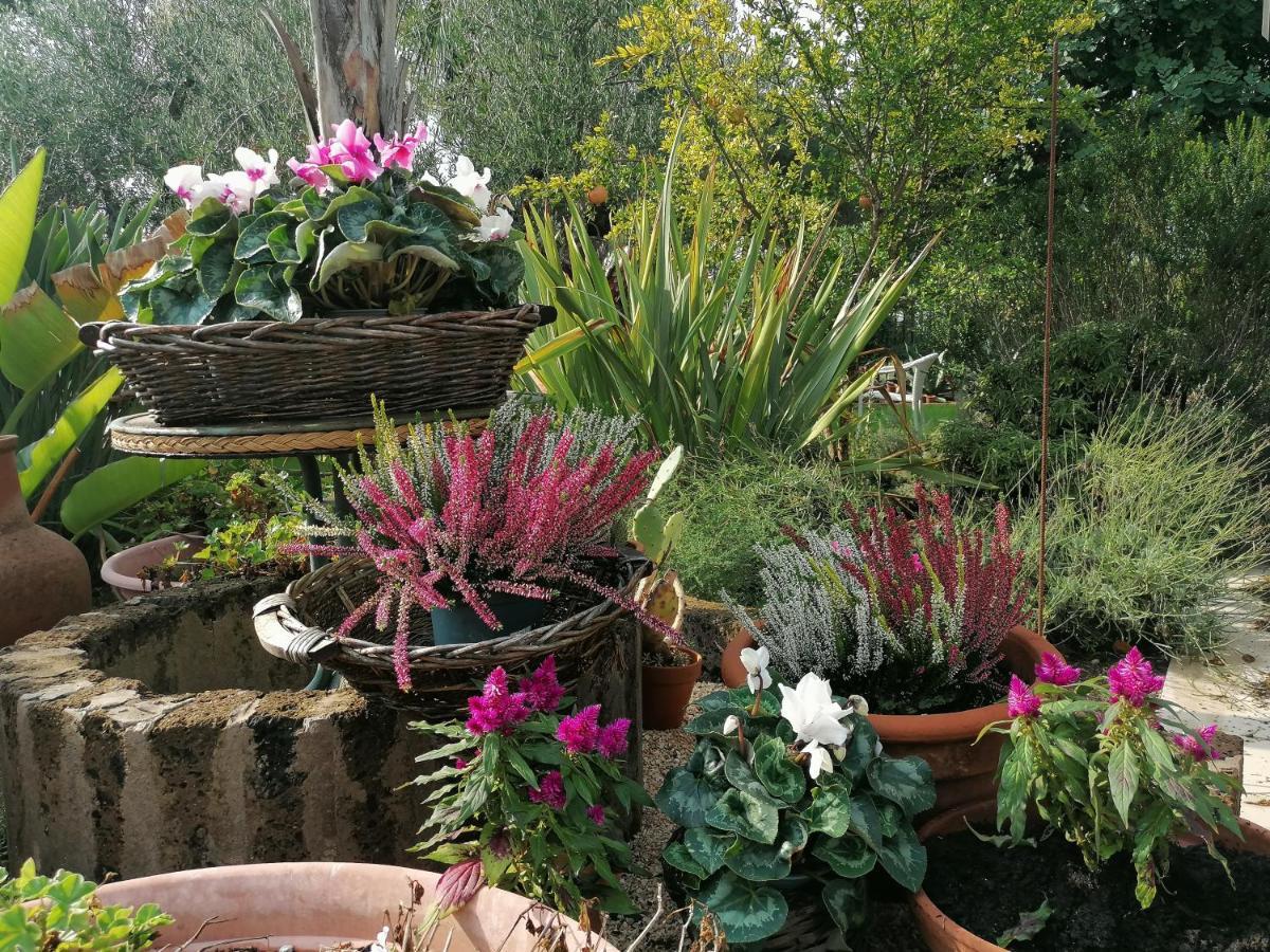 Отель Il Giardino Del Te Барлетта Экстерьер фото