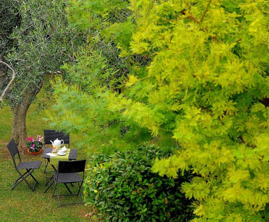 Отель Il Giardino Del Te Барлетта Экстерьер фото